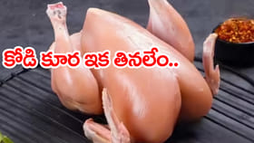 కొండెక్కిన కోడి కూర.. ఈ రోజు కిలో ధర ఎంతంటే?