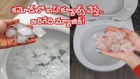 వారానికి ఒకసారి టాయిలెట్ కమోడ్‌లో ఐస్ క్యూబ్స్‌ వేయండి..మ్యాజిక్!