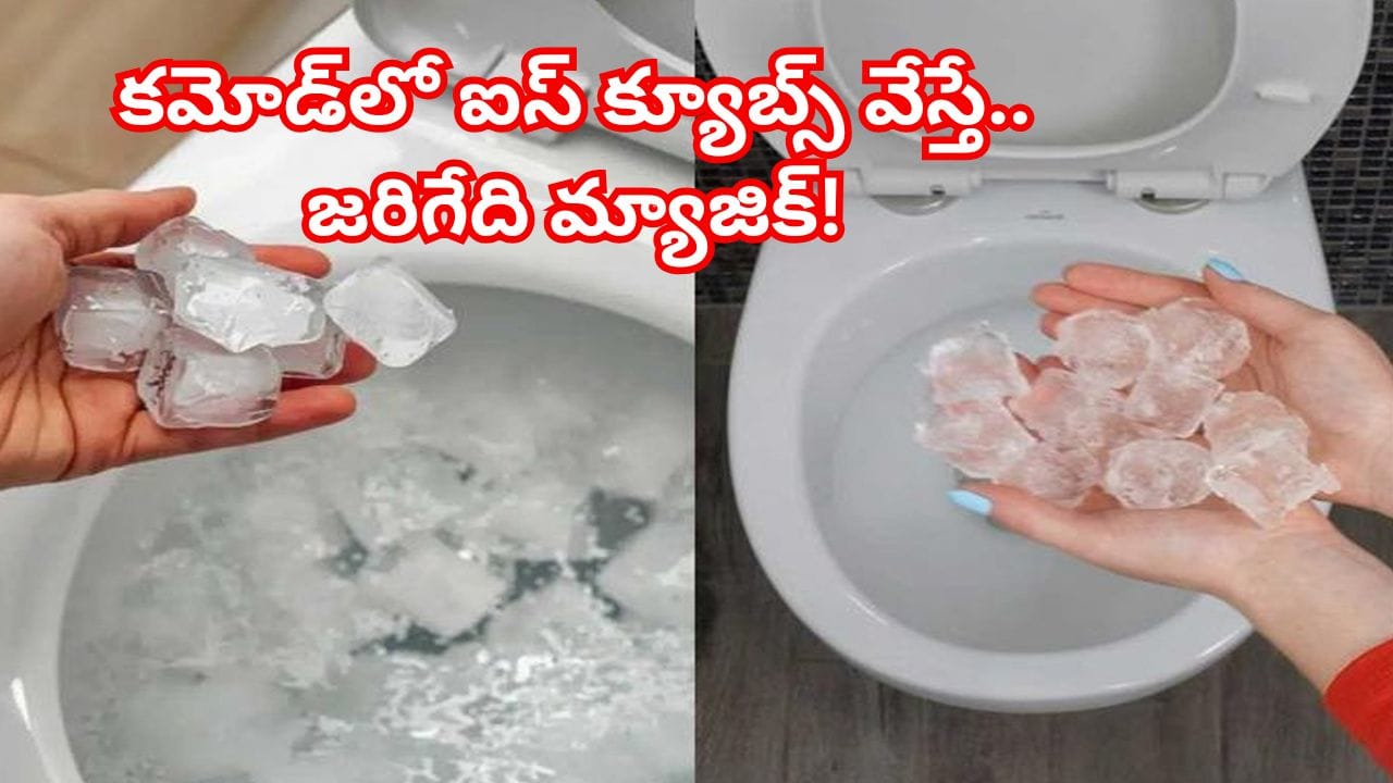 వారానికి ఒకసారి టాయిలెట్ కమోడ్లో ఐస్ క్యూబ్స్ వేయండి.. ఆ తర్వాత జరిగే మ్యాజిక్ చూస్తే షాక్ అవుతారు!