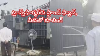భగ్గుమంటున్న ఎండలు.. చెట్లపైనే కాలి రాలిపోయిన మూగజీవాలు.. పండ్లల రాలిన 200లకు పైగా