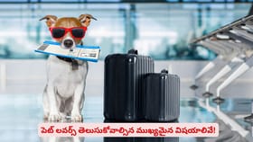 పెట్ లవర్స్ తెలుసుకోవాల్సిన ముఖ్యమైన విషయాలివే!