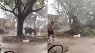 అమ్మనీ ఉడుత ఎంత పనిచేసింది..? ఏకంగా ఆర్ట్స్‌ కాలేజీ మొత్తాన్ని గడగడలాడించింది.. 20 మందిని కరిచి…