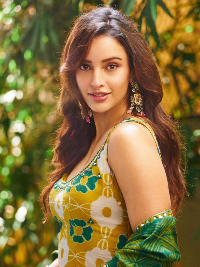 హాట్ లుక్స్ తో మోహినిలా మత్తెక్కిస్తున్న త్రిప్తి డిమ్రీ