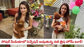 సోషల్ మీడియాలో సెన్సేషన్ అవుతున్న నటి త్రిష హోమ్ టూర్!