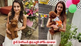 స్టార్ హీరోయిన్ త్రిష లగ్జరీ హోమ్ చూశారా