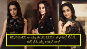 త్రిష నటించిన ఆ ఒక్క తెలుగు సినిమా 9 భాషల్లో రీమేక్.. కట్ చేస్తే