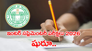 Chicken Rates: సామాన్యులకు చికెన్ షాక్.. అమాంతం పెరిగిన కోడి మాంసం ధరలు.. కేజీ ఎంత ఉందంటే..