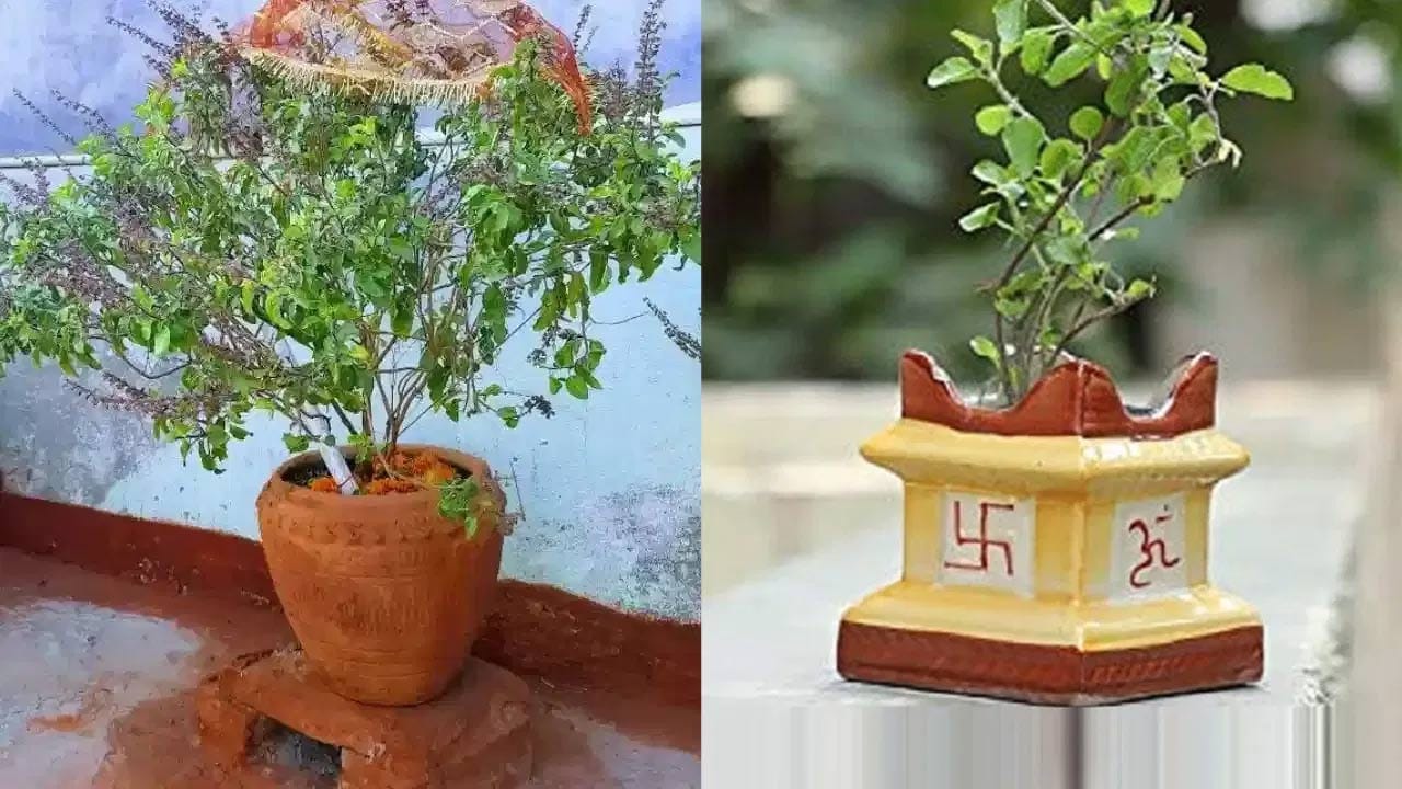 తులసి మొక్క పవిత్రమైనది అలాగే సానుకూల శక్తిని ఇస్తుంది. అయితే చింత చెట్టు బరువు వలన ప్రతికూల ఆలోచనలను సృష్టిస్తుందని వాస్తు నిపుణులు అంటున్నారు. ఇంకా ఇది సంబంధాలపైన కూడా ప్రభావం చూపిస్తుంది . ఈ చింత చెట్టు ఇంట్లో ఉండటం వల్ల భార్యాభర్తలు గొడవలు పడుతూనే ఉంటారు. తొలగించకపోతే పెద్ద వృక్షంతో యముడు అయ్యి కూర్చొంటుంది