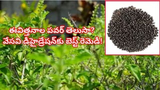 అది ఇది తిని బోర్ కొట్టిందా..? కమ్మటి పెసర పునుగులు.. ఈ నాలుగు మిక్స్ చేశారంటే దిబిడి దిబిడే