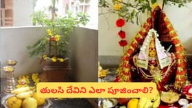 ఈ దేవతలకు తులసి ఎందుకు సమర్పించకూడదు? అసలు నియమాలు ఇవే!