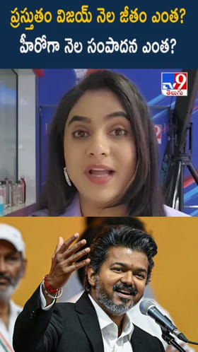 CM Vijay: సీఎంగా విజయ్ నెల జీతం ఎంత? హీరోగా నెల సంపాదన ఎంత?