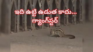 Viral Video: మూగజీవి కోసం ప్రకృతి ప్రళయాన్ని ఎదిరించిన మహిళ..  ప్రాణాలకు తెగించి మరీ..!
