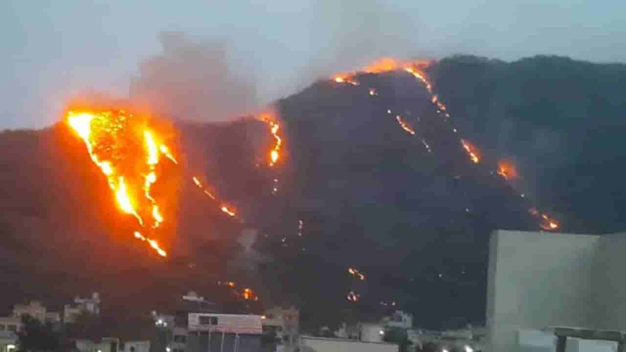 Andhra News: ఉండవల్లి కొండపై అగ్ని ప్రమాదం.. ప్రభుత్వం కీలక ప్రకటన