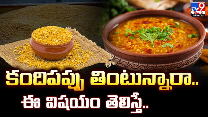 కందిపప్పు తింటున్నారా.. ఈ విషయం తెలిస్తే.. కందిపప్పు తింటున్నారా.. ఈ విషయం తెలిస్తే..