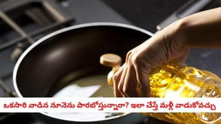 Workout Timing: వ్యాయామం చేసేందుకు ఏది మంచి సమయం? ఉదయమా? సాయంత్రమా?