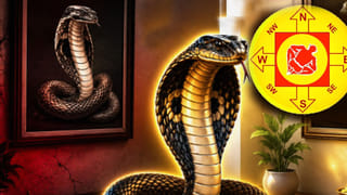 Dhana Yoga: శుక్రుడి కటాక్షం.. ఆ రాశుల వారికి ధన యోగాలు, సిరిసంపదలు..!