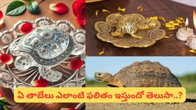 ఇంట్లో తాబేలు విగ్రహం ఉంచితే ధనం, శాంతి పెరుగుతాయా?