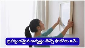 మీ ఇంట్లో ఈ ఫోటోలు ఉన్నాయా? అయితే అదృష్టం మారిపోతుందట!