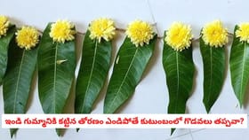 ఇండి గుమ్మానికి కట్టిన తోరణం ఎండిపోతే ఆ సమస్యలు తప్పవా?