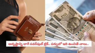 Vastu Secrets: ఉద్యోగంలో ప్రమోషన్, వ్యాపారంలో లాభాలు రావాలా? మీ ఆఫీస్ టేబుల్‌పై ఈ మార్పులు చేసుకోండి!