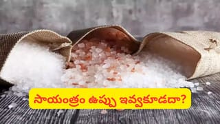 Garuda Purana: స్వర్గానికి దారి ఇదేనా? మరణం తర్వాత తప్పనిసరిగా చేయాల్సిన పుణ్యాలు ఇవే!