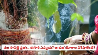 Vat Savitri Vrat 2026: అఖండమైన సౌభాగ్యం కోసం వట సావిత్రి వ్రతం.. ఈ ఏడాది ఖచ్చితమైన తేదీ, శుభ సమయం  ప్రాముఖ్యత ఇదే!