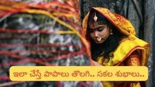Crow Symbolism: హిందూమతంలో కాకులకు  మన పూర్వీకులకు ఉన్న రహస్య సంబంధం ఏమిటి?
