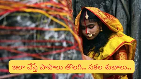 Vat Savitri Vratam: సంతానం, సౌభాగ్యాన్ని ప్రసాదించే వట సావిత్రి వ్రతం ఎలా చేయాలి?
