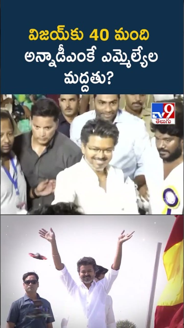 అన్నాడీఎంకేలో ముసలం.. విజయ్‌కి ఆ ఎమ్మెల్యేల మద్దతు?