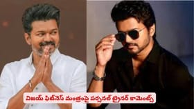 విజయ్ ఫిట్‌నెస్ మంత్రంపై పర్సనల్ ట్రైనర్ కామెంట్స్