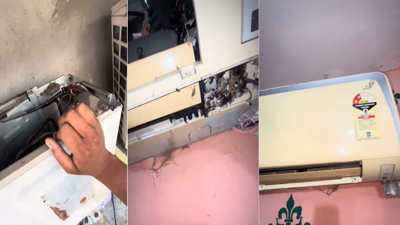 Viral Video: ఏసీ కూలింగ్ సరిగ్గా రావడం లేదని టెక్నిషియన్‌ను పిలిచారు.. అతడు ఓపెన్ చేసి చూడగా