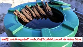 ఇంటిపై వాటర్ ట్యాంకులో నాచు, చెత్త పేరుకుపోయిందా? ఈ సహజ చిట్కా