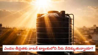 Fresh coriander: కొత్తిమీర త్వరగా వాడిపోతుందా? ఈ 6 తెలివైన చిట్కాలతో పది రోజుల వరకు తాజాగా ఉంచుకోండి!
