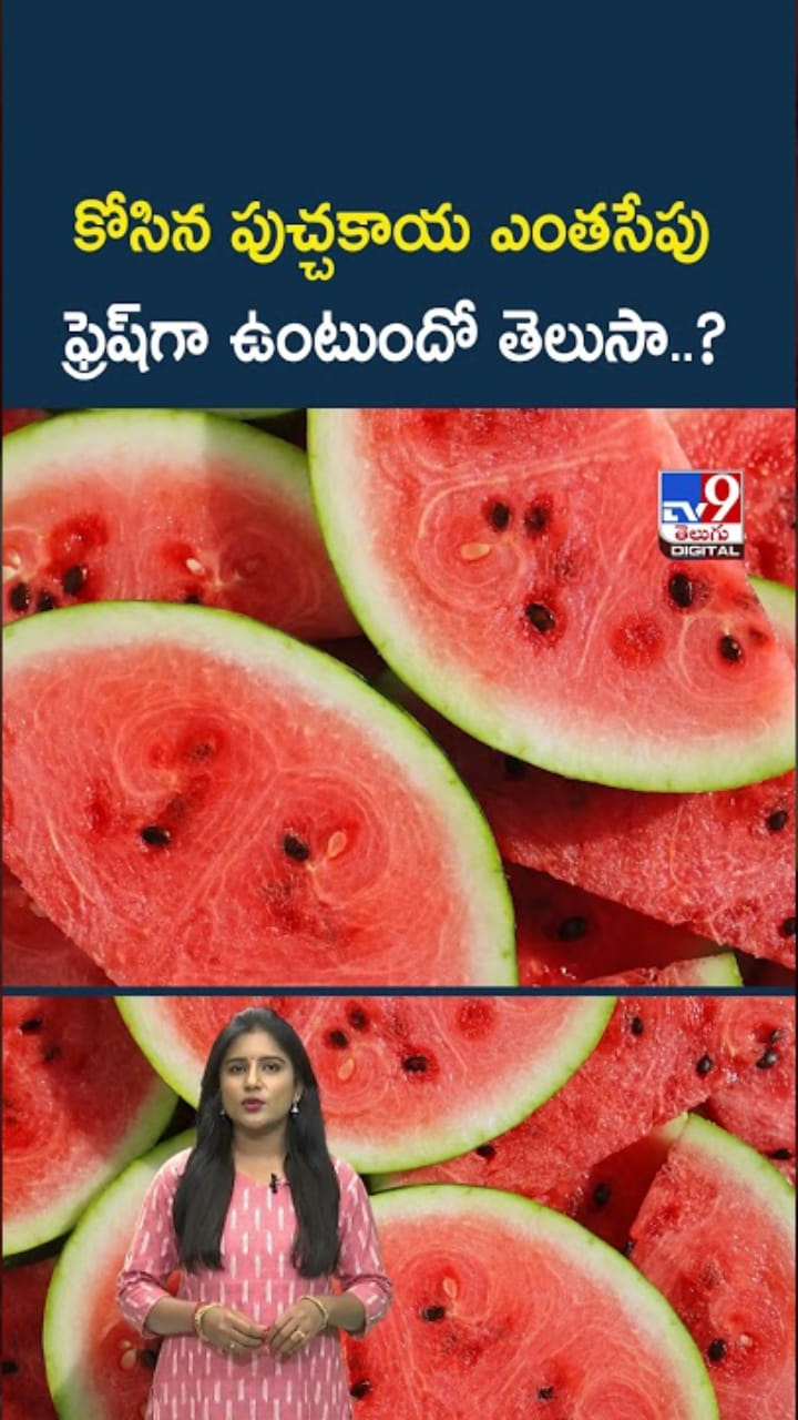 Watermelon: కోసిన పుచ్చకాయ ఎంతసేపు ఫ్రెష్‌గా ఉంటుందో తెలుసా..?