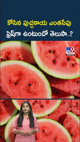 Watermelon: కోసిన పుచ్చకాయ ఎంతసేపు ఫ్రెష్‌గా ఉంటుందో తెలుసా..?