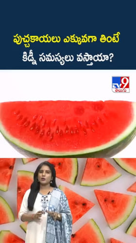 Watermelon: పుచ్చకాయలు ఎక్కువగా తింటే.. కిడ్నీ సమస్యలు వస్తాయా?