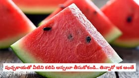 పుచ్చకాయతో వీటిని కలిపి అస్సలూ తీసుకోకండి.. తిన్నారో ఇక అంతే