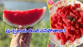 పుచ్చకాయ తింటే చనిపోతారా? సోషల్ మీడియా వార్తలపై వైద్యుల అసలు నిజం