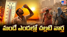 మండే ఎండల్లో చల్లటి వార్త.. ముందుగానే నైరుతి రుతుపవనాలు