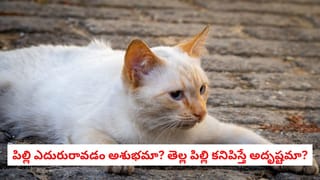 Swapna Shastra: కలలో ఇలా కనిపిస్తుందా? పితృదేవతల మీపై కోపంగా ఉన్నారనడానికి ఇది అతిపెద్ద సంకేతం!