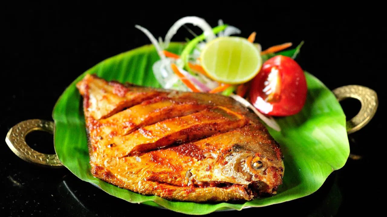 Who Should Not Eat Fish