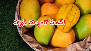 నిద్ర సంకేతం అనుకున్నారా? ఆవలింతల అసలు కథ ఇదే!