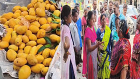 మహిళా రైతుపై తోపుడుబండ్ల వ్యాపారుల దాడి..మామిడి పండ్లు రోడ్డుపాలు