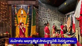 కొండచిలువకు విషగ్రంథులు ఉండవని మీకు తెలుసా..? అంతేకాదు గుడ్లు పెట్టి..