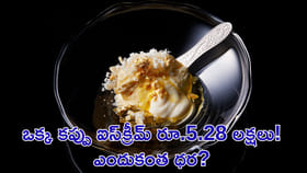 ఒక్క కప్పు ఐస్‌క్రీమ్‌ రూ.5.28 లక్షలు! ఎందుకంత ధర?
