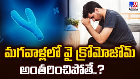 మగవాళ్లలో వై క్రోమోజోమ్ అంతరించిపోతే..?