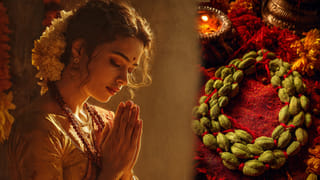 Vastu Tips: ఈ వస్తువులు కొత్త ఇంటికి తీసుకెళ్తే సమస్యలు తప్పవు!
