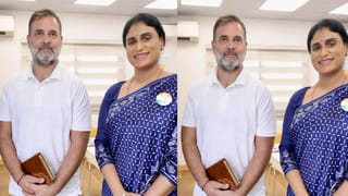 ఈ పక్షి గూడు కట్టదు.. ఇదిగో ఇలా నేలపైనే గుడ్లు పెడుతుంది.. ఆ తర్వాత