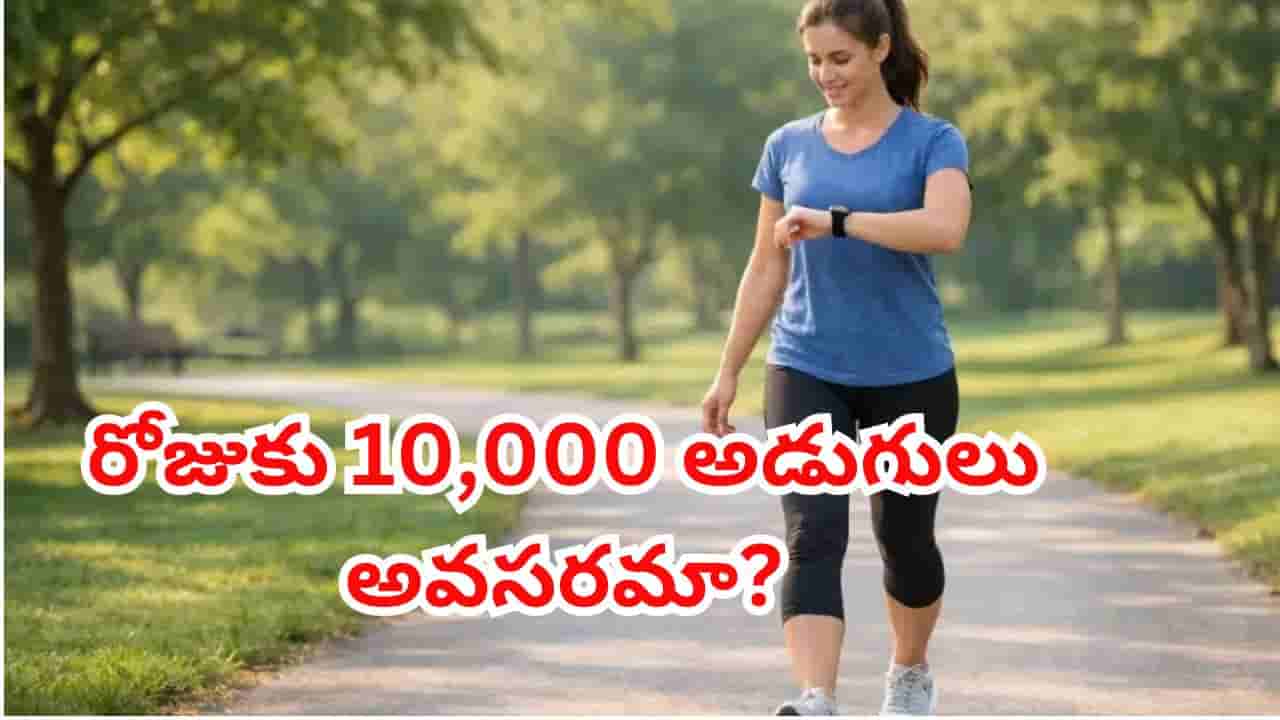 రోజుకు 10,000 అడుగులు అవసరమా? తక్కువ నడకతో కూడా గుండెను ఎలా కాపాడుకోవచ్చో తెలుసా!