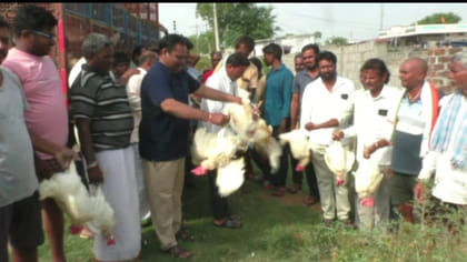 ఇంటికో కోడి.. ఊరంతా వనభోజనం..!